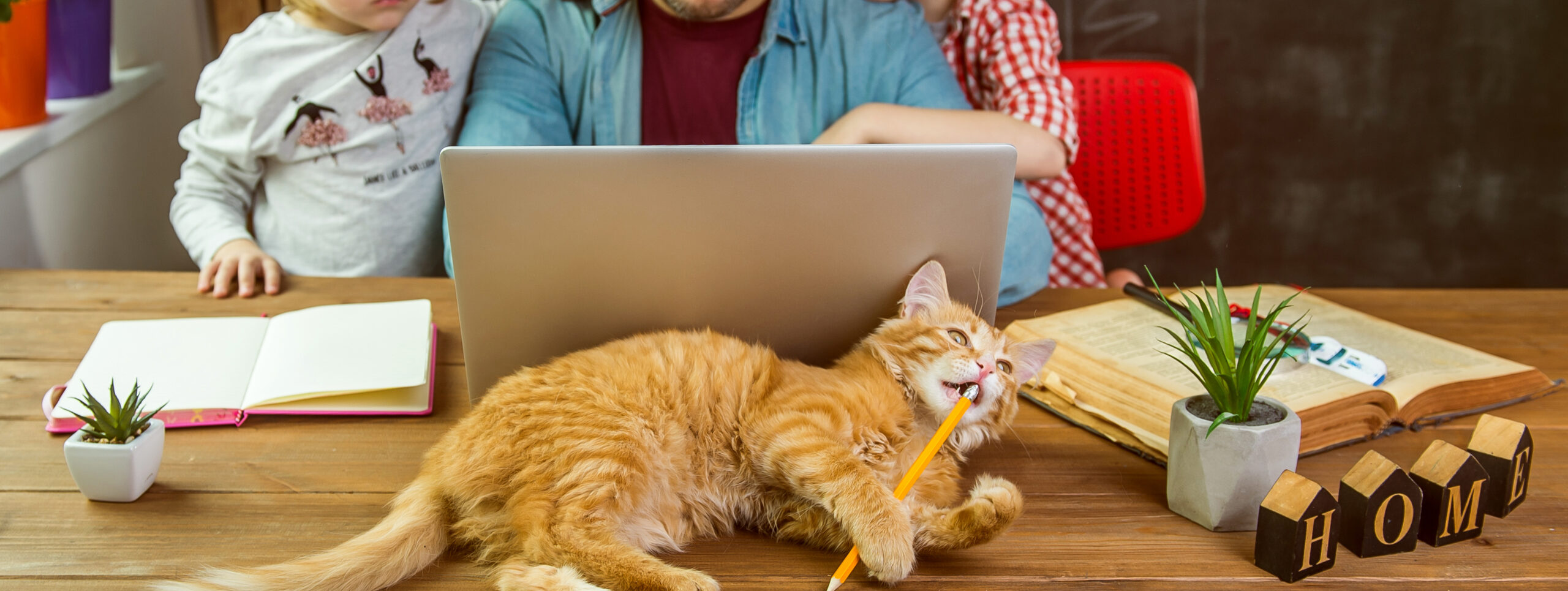 photo of a father working on a computer with a toddler next to him. A cat is laying in front of the computer playing with a pencil. Photo is to illustrate remote work.